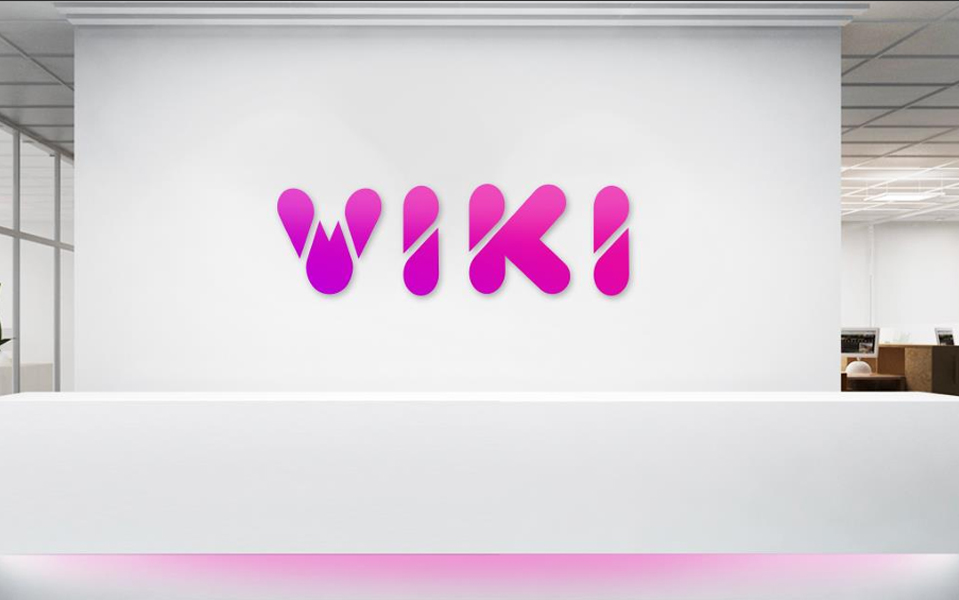 Exemplo Logo Viki Aplicada